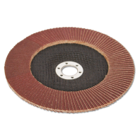 Круг лепесковый торцевой КЛТ-1  125х22мм Россия (24)