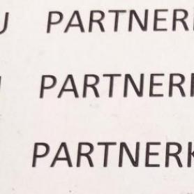 Пружина стартера (эргостат) тип косы-33/43/52,