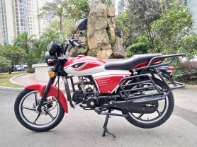 Мопед VORTEX CITY /диск.